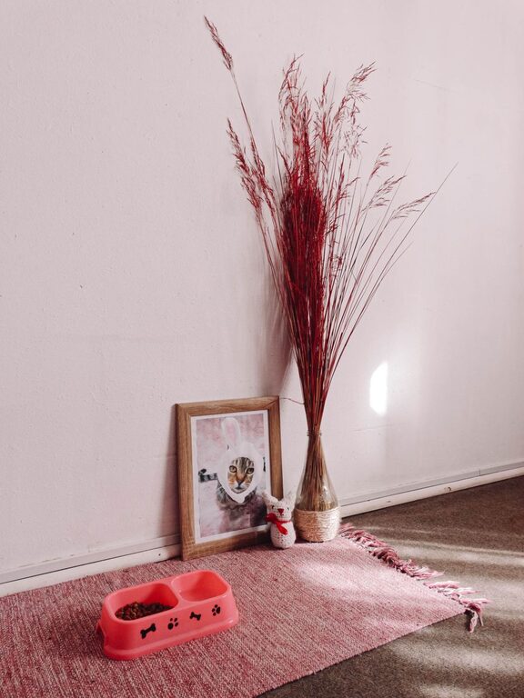 How to Set Up a Comfortable Pet Friendly Home Corner